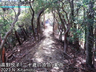 愛宕裏参道の尾根伝い