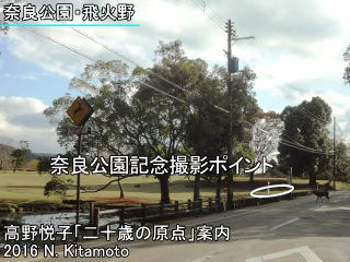 奈良公園記念撮影ポイント位置