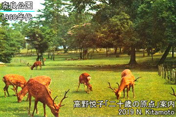当時の奈良公園のシカ