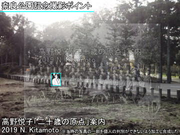 奈良公園記念撮影