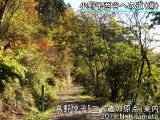小野子西谷への道