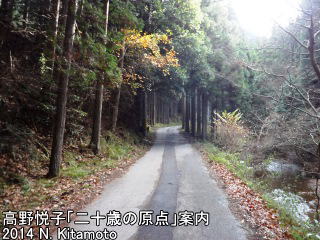 田尻川沿いの林道