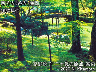 西芳寺苔寺庭園