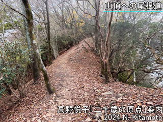 山頂への尾根道