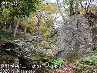 雲取山途中の岩