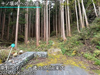 十ノ場峠への山道